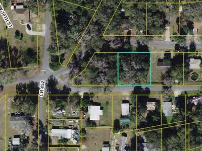 0 County Road 454 #9, Lake Panasoffkee, FL, 33538