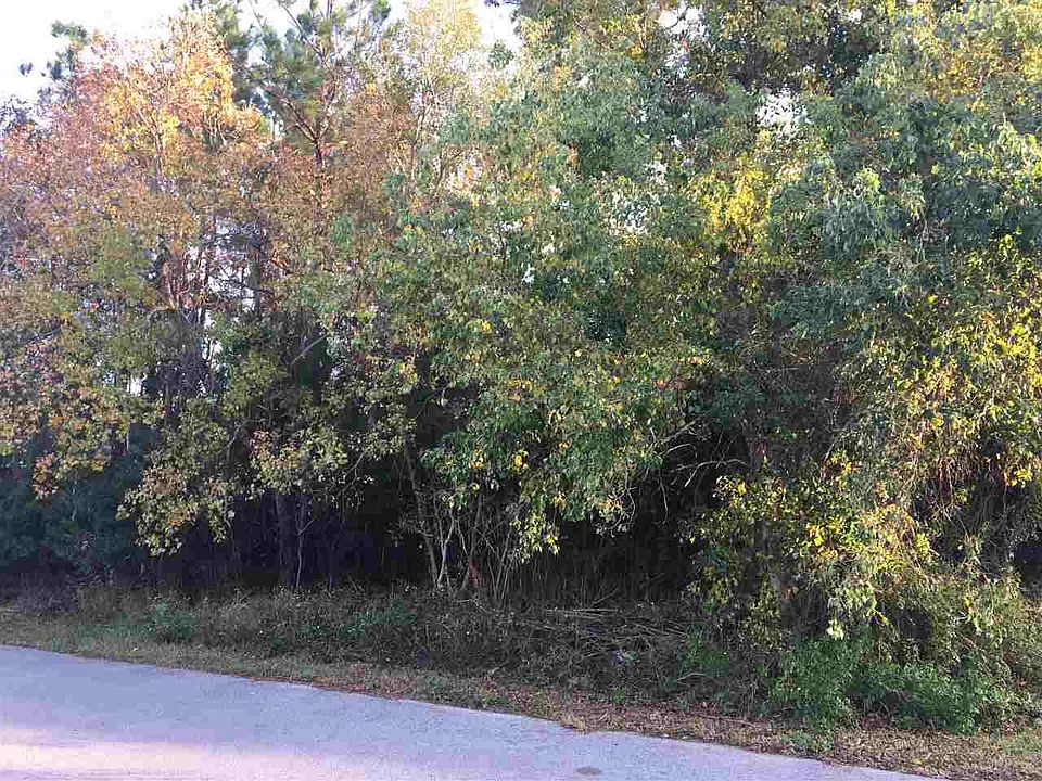 2nd image of LOT 54 Pins Ln