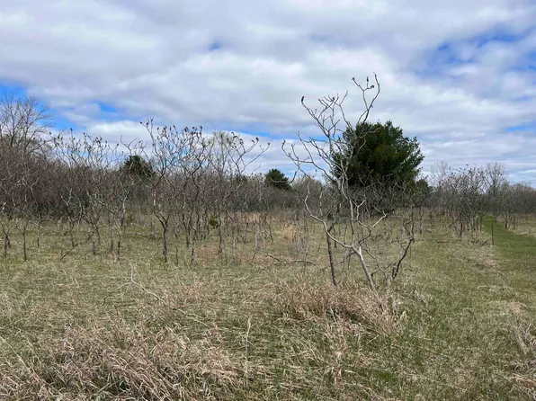 Sheridan St #3, Oconto Falls, WI 54154