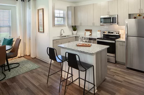 Contemporary kitchens feature stainless steel appliances and USB charging ports - The Meadows at Meridian Apartments