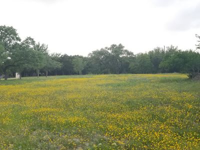 321 Frontier Trl, Wimberley, TX, 78676