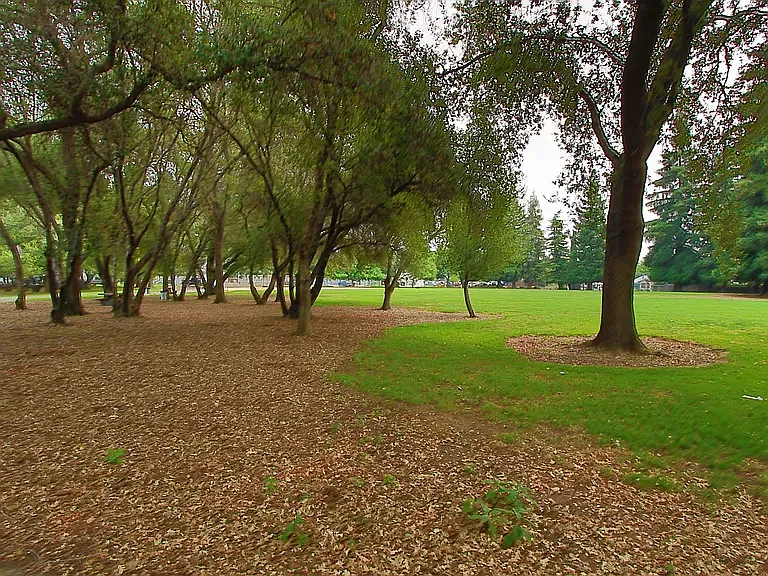 Breuner Dr — Photo 47