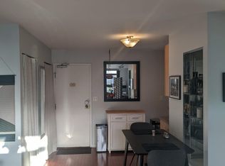 3900 N Pine Grove Ave APT 704, Chicago, IL 60613