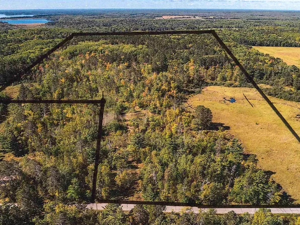 39687 Swanburg Rd, Pine River, MN 56474