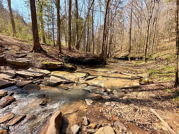 30th image of 5640 Brimstone Rd