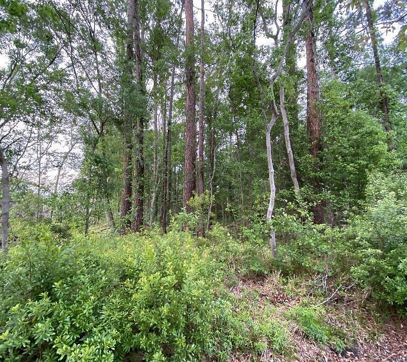 2nd image of 0 ROSEDALE Lane