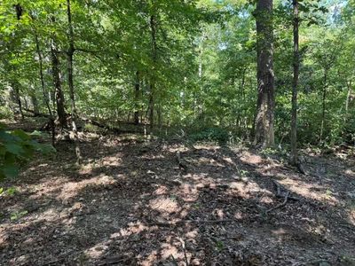 LOT 16 Horden Ln, Bella Vista, AR, 72714
