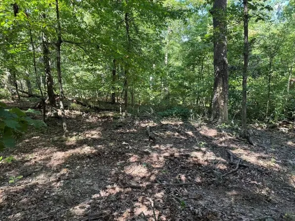 LOT 16 Horden Ln, Bella Vista, AR 72714