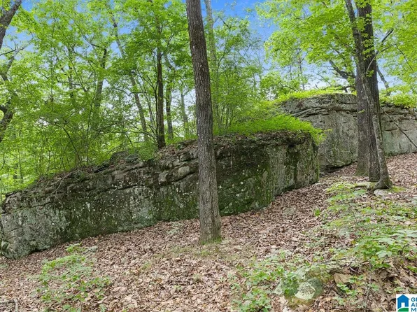 0 State Highway 9 #1, Hayden, AL 35079