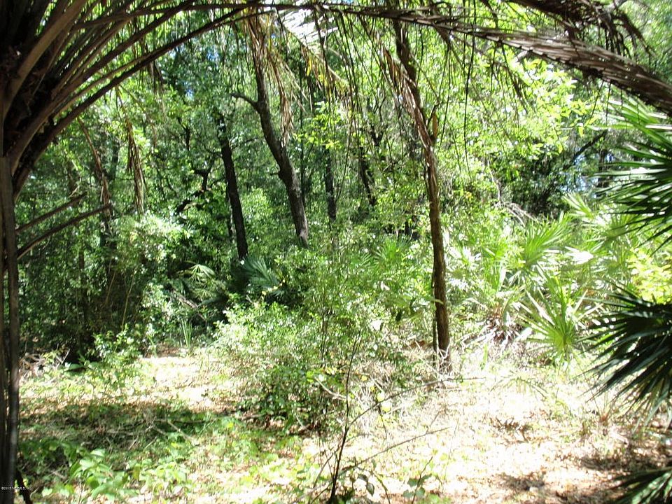 Nice Wooded lot