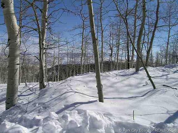 2nd image of 2181 S Woodchuck Way #1-PI-G