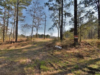 LOT 1 Highway 1241, Dry Prong, LA, 71423