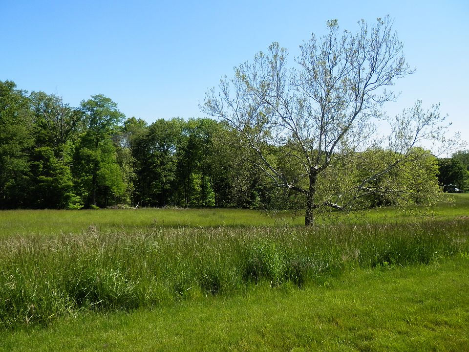 2nd image of 3 Banta Rd