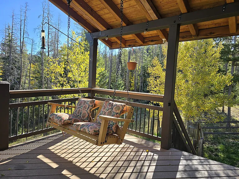 6782 Snowshoe Trl — Photo 17