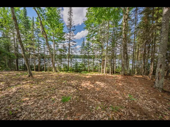 LOT 160 Clearwater Lake Trl, Eagle River, WI 54521
