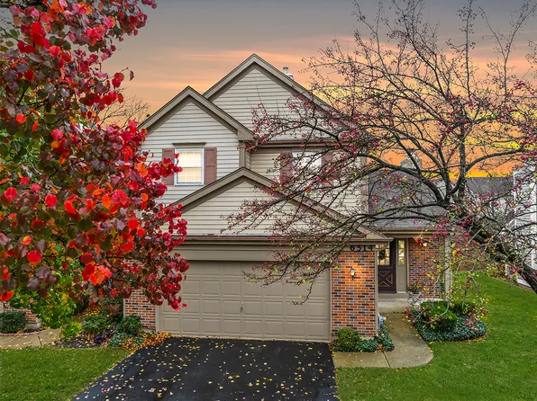 6514 Barclay Ct, Downers Grove, IL 60516
