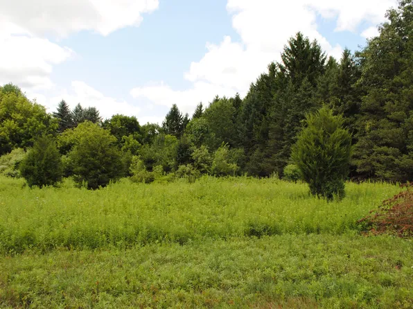 3173 Luna Dr, Dexter, MI 48130