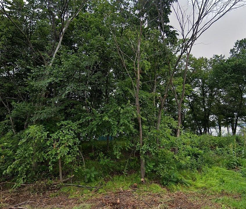2nd image of 378 Mallard Loop