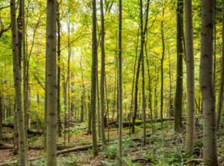 Trevor Drive N Trevor #280, Great Cacapon, WV 25422