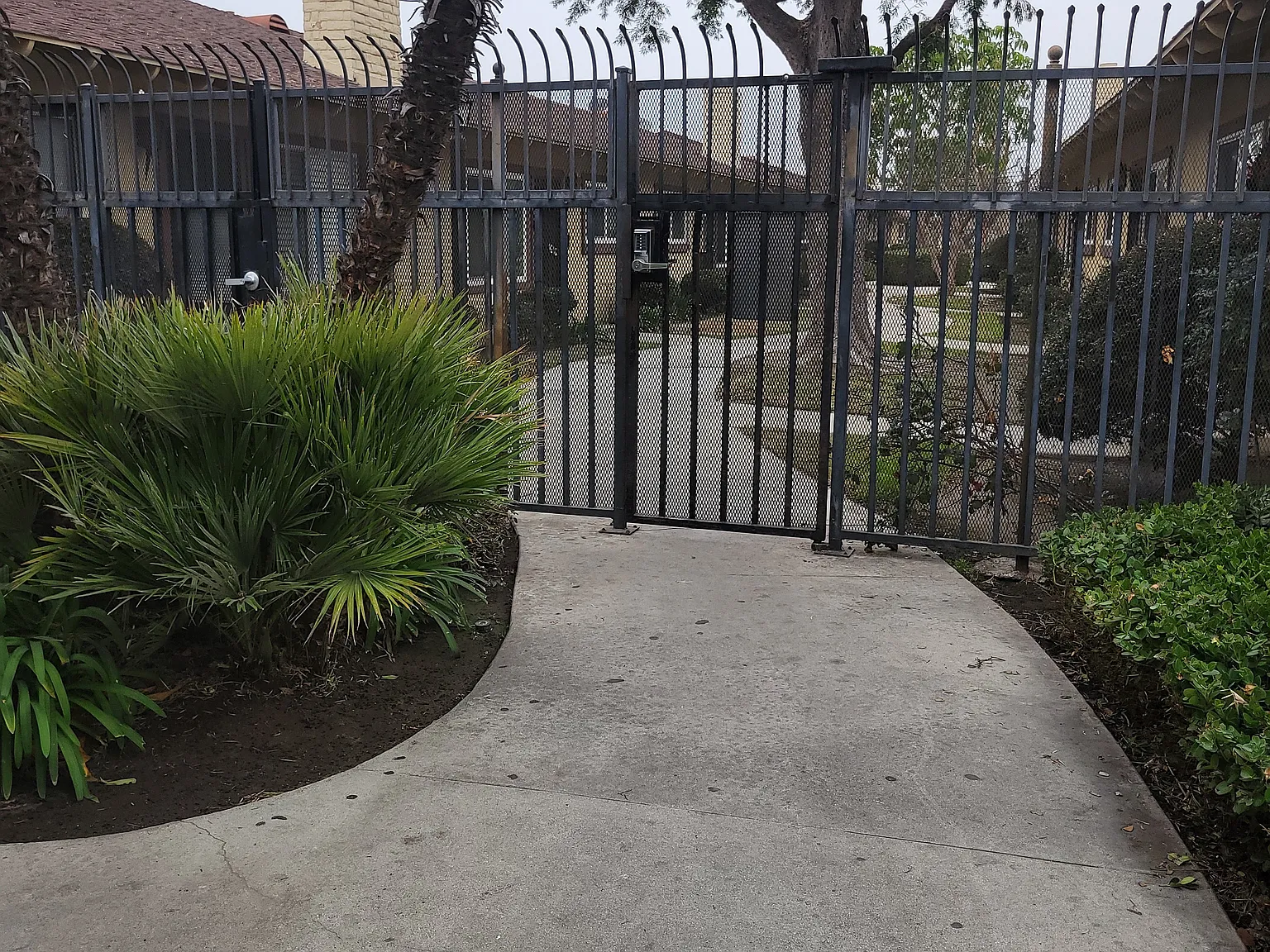 1 bed, 132 sqft, $1,000 — Photo 3