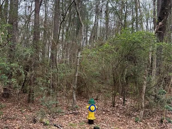 LOT 1 Jana Dr, Pineville, LA 71360