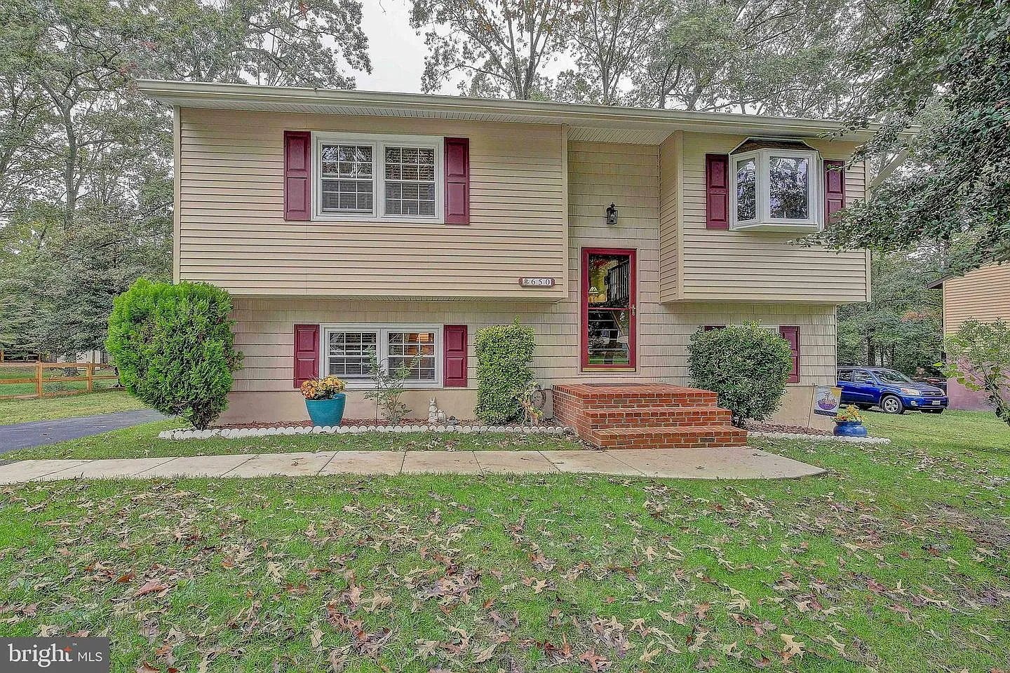 650 Cedar Dr photo 1