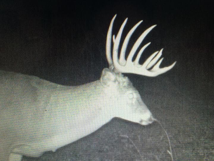 1st image of 0000 County Road P