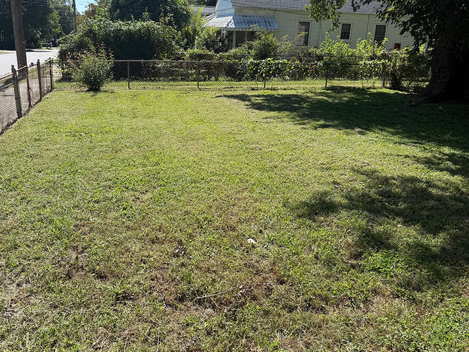 3 bed, 1385 sqft, $1,595 — Photo 2