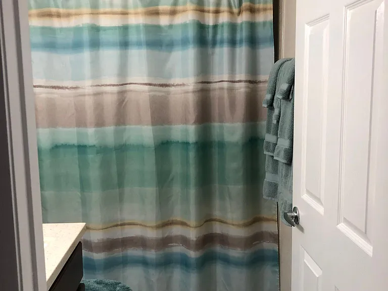 Guest bath tub/shower