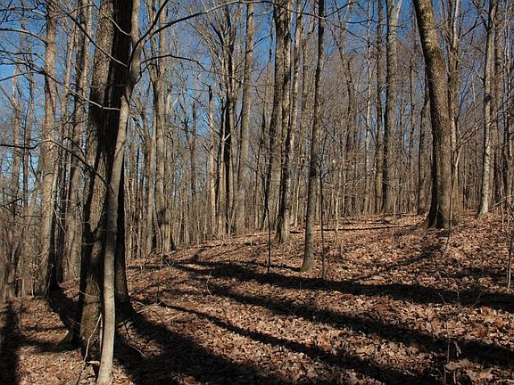 5th image of 1404 N Campbell Station Rd