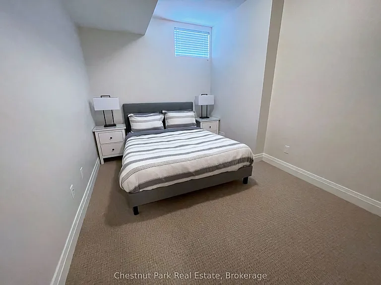106 Alpine Springs Ct #10 — Photo 38