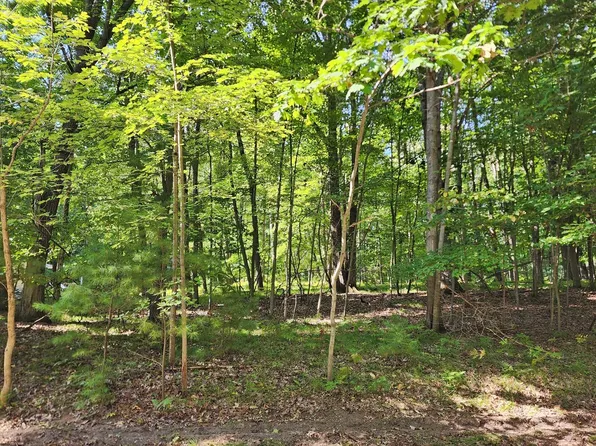 10933 Shawnee Trl #192, Stanwood, MI 49346