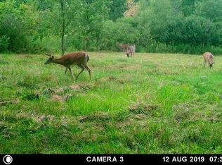 0 Rose Rd, Corning, NY 14830