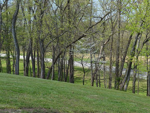 5th image of 1190 Saddle Springs Dr