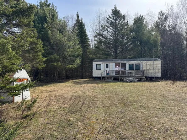 10736 Jones Blvd, Carp Lake, MI 49718