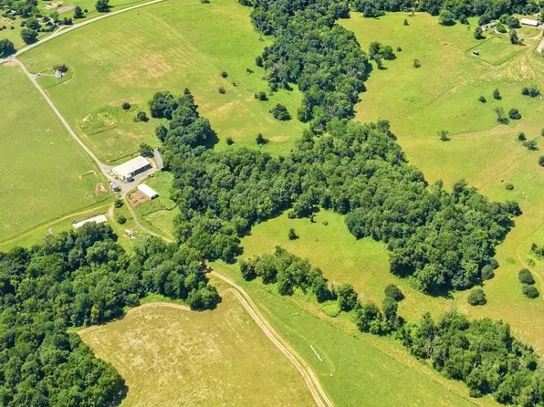 1169 Zachary Taylor Hwy, Flint Hill, VA 22627