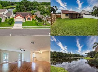 5016 Cypress Trace Dr, Tampa, FL 33624