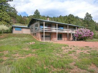 113 Aspen Vale Cir, Florissant, CO 80816