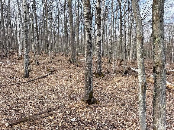 2nd image of LOT Mohawk Gay Rd #C