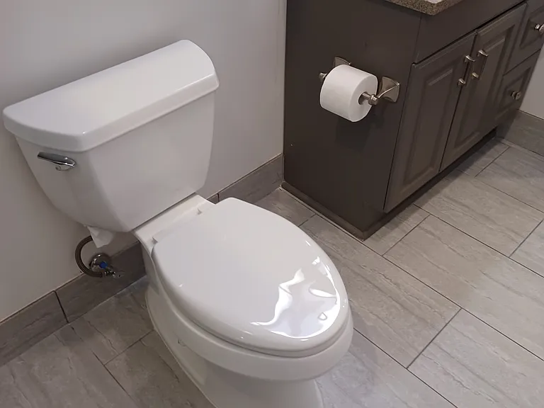 Large Elongated Toilet