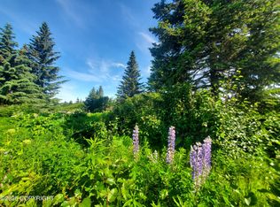 17664 Chefornak St, Ninilchik, AK 99639