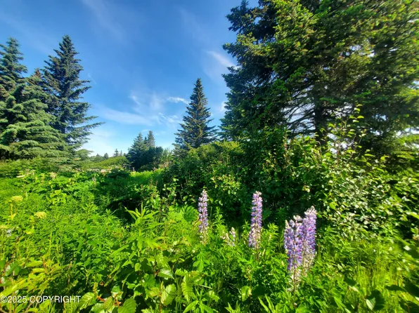 17664 Chefornak St, Ninilchik, AK 99639