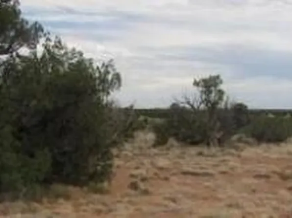 Sec 19 T15N, R16E -- #'''-''', Heber, AZ 85928
