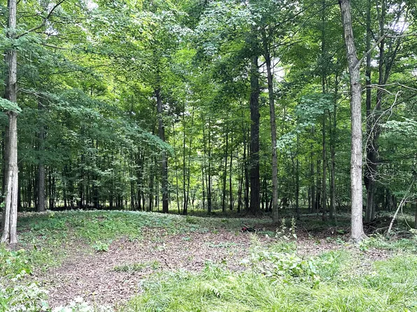 LOT 184 E Shore Dr, Stanton, MI 48888