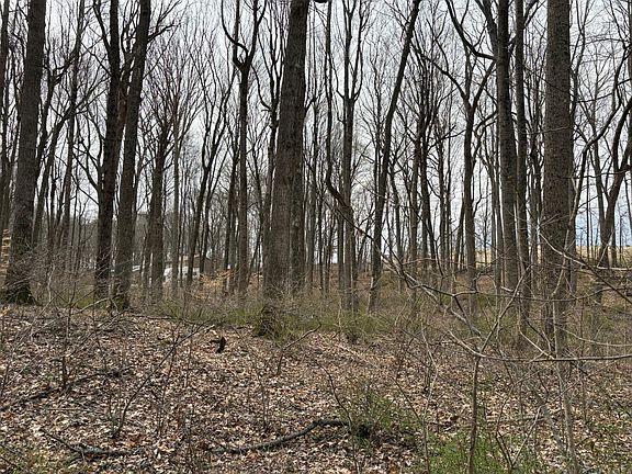 5th image of Woodland Dr