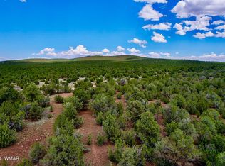 4 County Road 3187 LOT 2, Vernon, AZ 85940