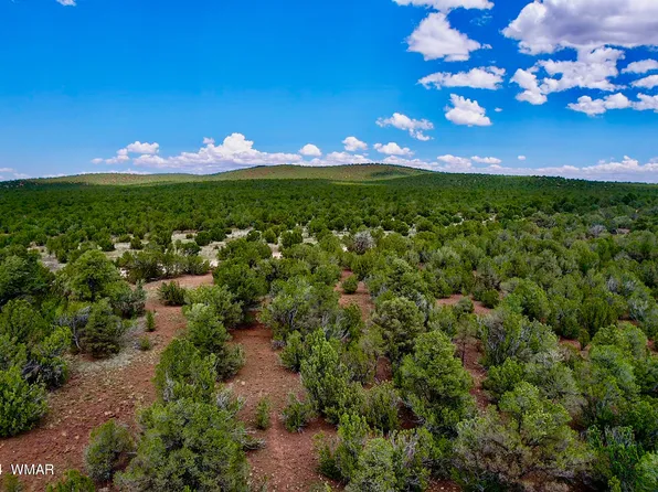 4 County Road 3187 Lot 2, Vernon, AZ 85940