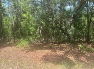 8729 N Wallingford Ave Lot 28, Dunnellon, FL 34434