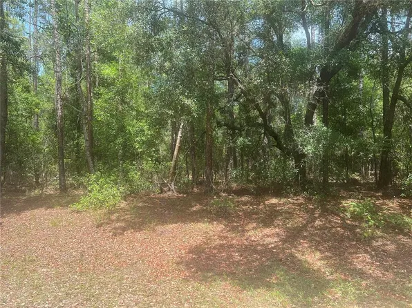8729 N Wallingford Ave Lot 28, Dunnellon, FL 34434