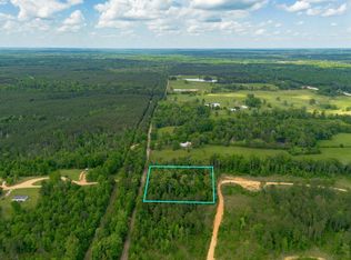 0 Smyrna Rd, Hazlehurst, MS 39083